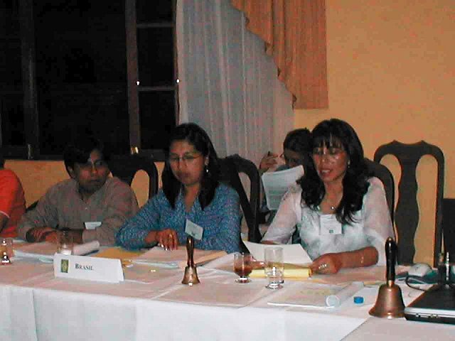 P1010007 copia (3)